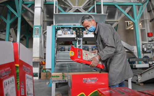 湖北當(dāng)陽(yáng) 農(nóng)業(yè)復(fù)產(chǎn)正當(dāng)時(shí)，農(nóng)產(chǎn)品加工助力鄉(xiāng)村振興