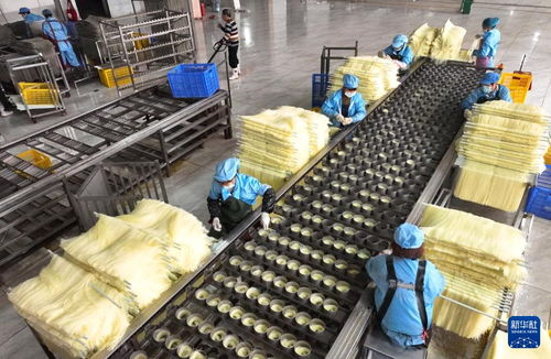 農(nóng)產(chǎn)品加工助民增收——湖南衡陽(yáng)的成功實(shí)踐