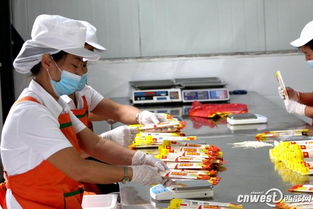 鎮(zhèn)安萬(wàn)噸特色農(nóng)產(chǎn)品加工生產(chǎn)線投產(chǎn)，產(chǎn)業(yè)扶貧助力精準(zhǔn)脫貧