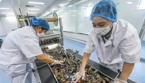 農(nóng)業(yè)產(chǎn)業(yè)周報(bào) 新希望、騰訊、茅臺(tái)、本來(lái)生活、叮咚買(mǎi)菜最新動(dòng)態(tài)與農(nóng)產(chǎn)品加工進(jìn)展