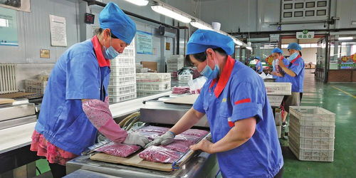 讓黑土地流金淌銀 松原推動農業高質量發展紀實