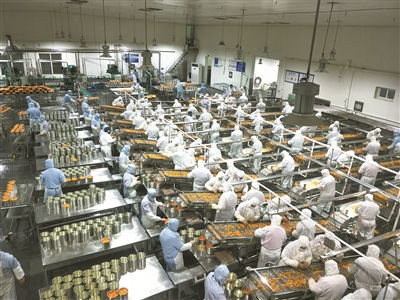 農產品數字化加工 寧波日報社數字報刊平臺的視角與展望