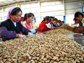 廣西農(nóng)產(chǎn)品加工集聚區(qū)發(fā)展規(guī)劃 2020年前的產(chǎn)業(yè)布局與目標(biāo)