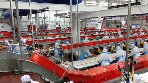 農(nóng)業(yè)人2018年千萬(wàn)別做這6件事，否則在農(nóng)產(chǎn)品加工領(lǐng)域會(huì)輸?shù)煤軕K