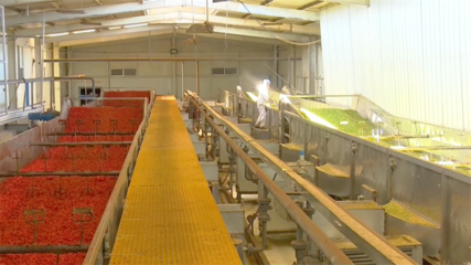 提升農產品精深加工“硬本領” 打通產業鏈塑造新優勢