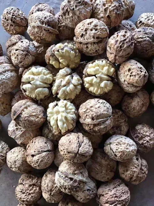 農產品加工 連接農業與工業的橋梁及其發展前景