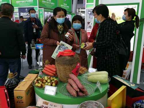 第七屆黃河金三角投資合作交流大會暨渭南農產品加工產業博覽會開幕，聚焦農產品加工新機遇