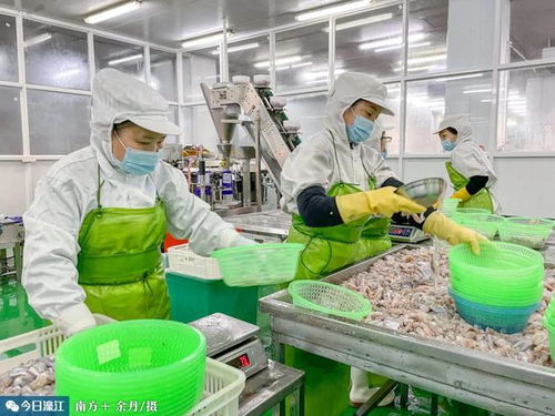 冠海水產柯銳城 濠江發展預制菜產業條件優越、基礎雄厚，初級農產品購銷體系完善