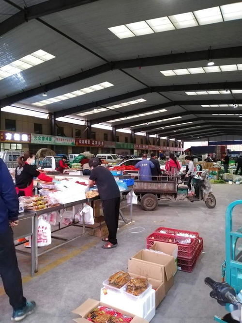 中貿農產品綜合批發市場 從基地到市場，蔬菜區一站式采購與每日參考價解析