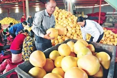 厲害了！湖北19個特產受國家保護，以你家鄉命名食用農產品批發